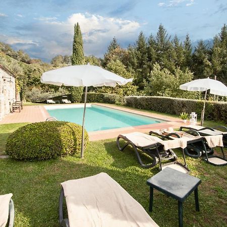 Casetta Di Butia, Ginestra Apartment With Swimming Pool Borgo a Mozzano Exterior photo