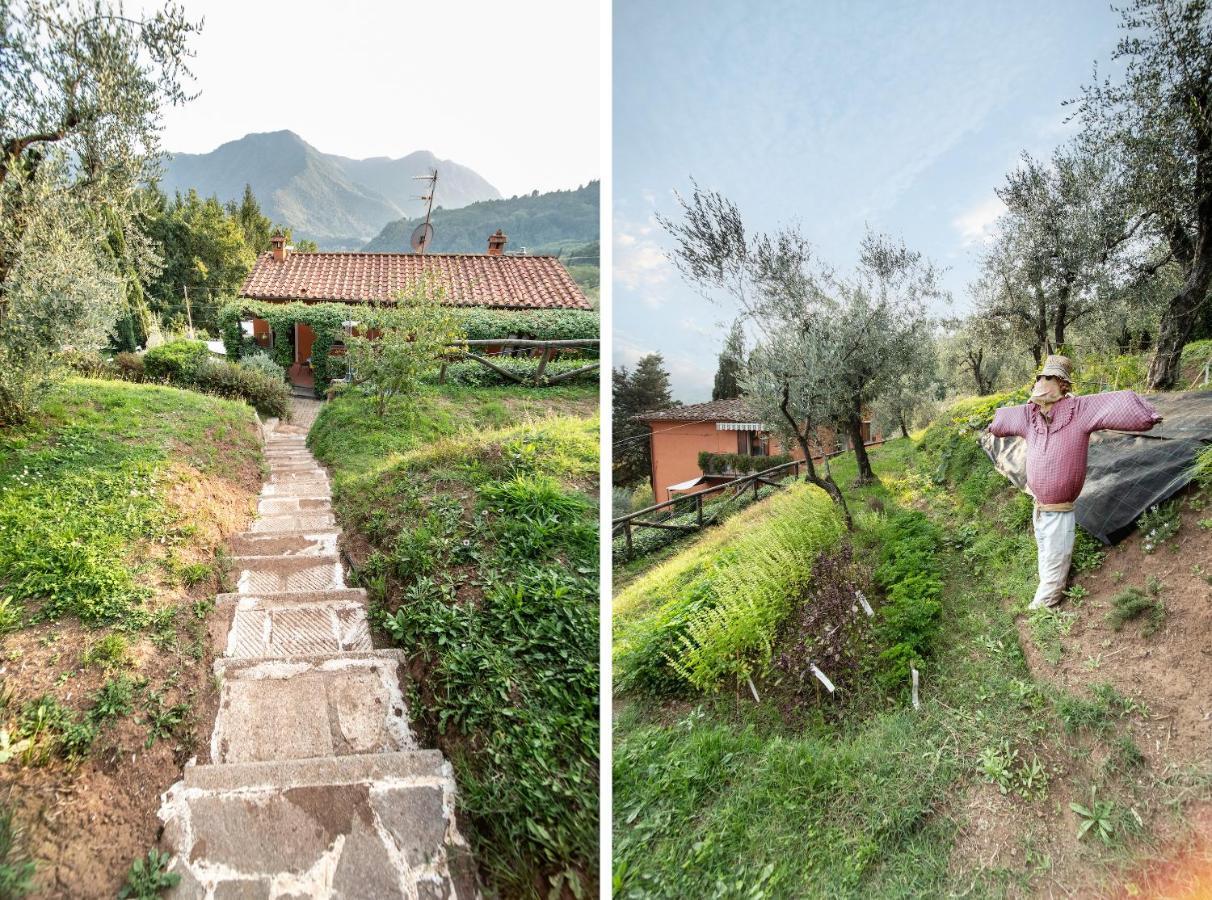Casetta Di Butia, Ginestra Apartment With Swimming Pool Borgo a Mozzano Exterior photo