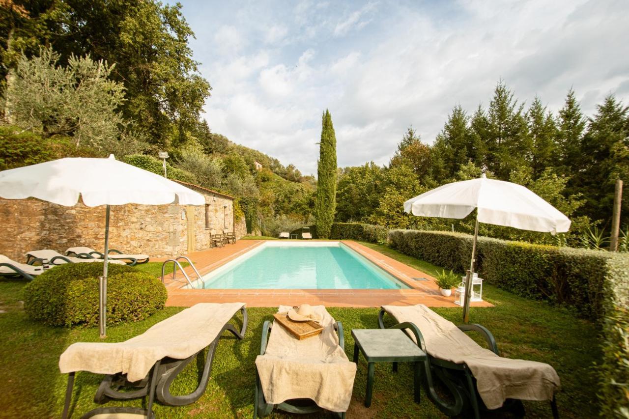 Casetta Di Butia, Ginestra Apartment With Swimming Pool Borgo a Mozzano Exterior photo
