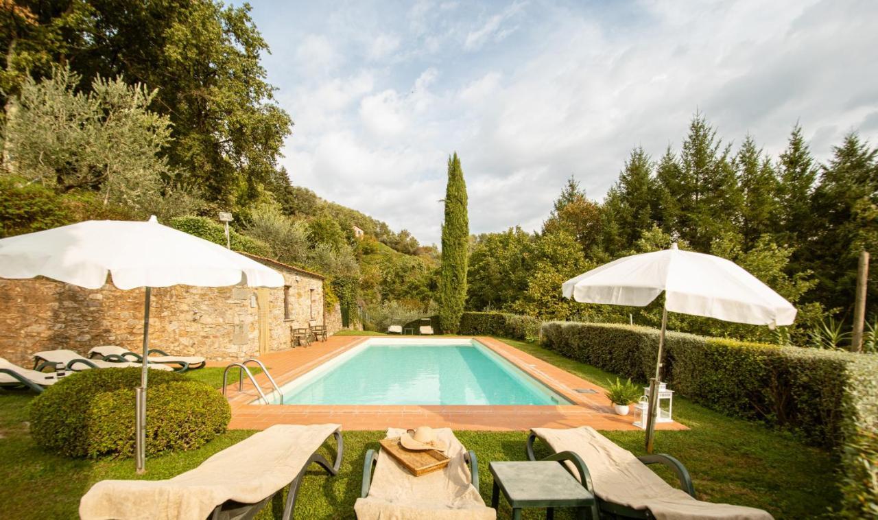 Casetta Di Butia, Ginestra Apartment With Swimming Pool Borgo a Mozzano Exterior photo