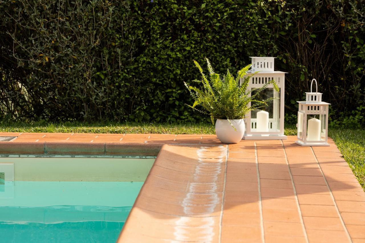 Casetta Di Butia, Ginestra Apartment With Swimming Pool Borgo a Mozzano Exterior photo