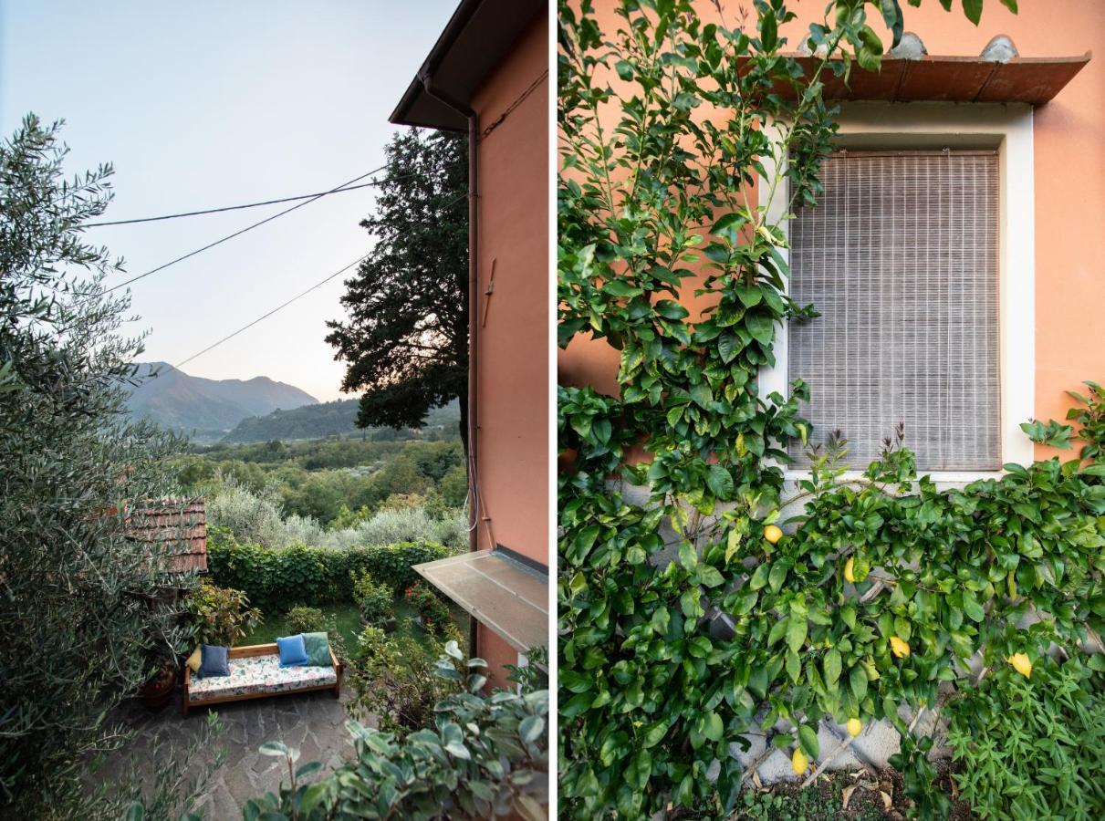 Casetta Di Butia, Ginestra Apartment With Swimming Pool Borgo a Mozzano Exterior photo