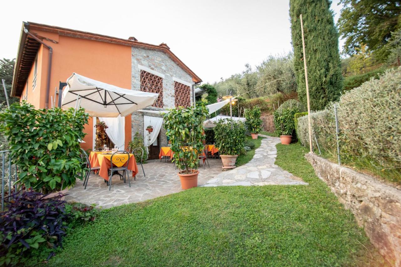Casetta Di Butia, Ginestra Apartment With Swimming Pool Borgo a Mozzano Exterior photo