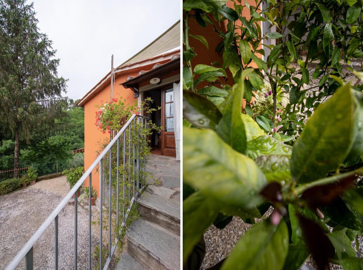 Casetta Di Butia, Ginestra Apartment With Swimming Pool Borgo a Mozzano Exterior photo