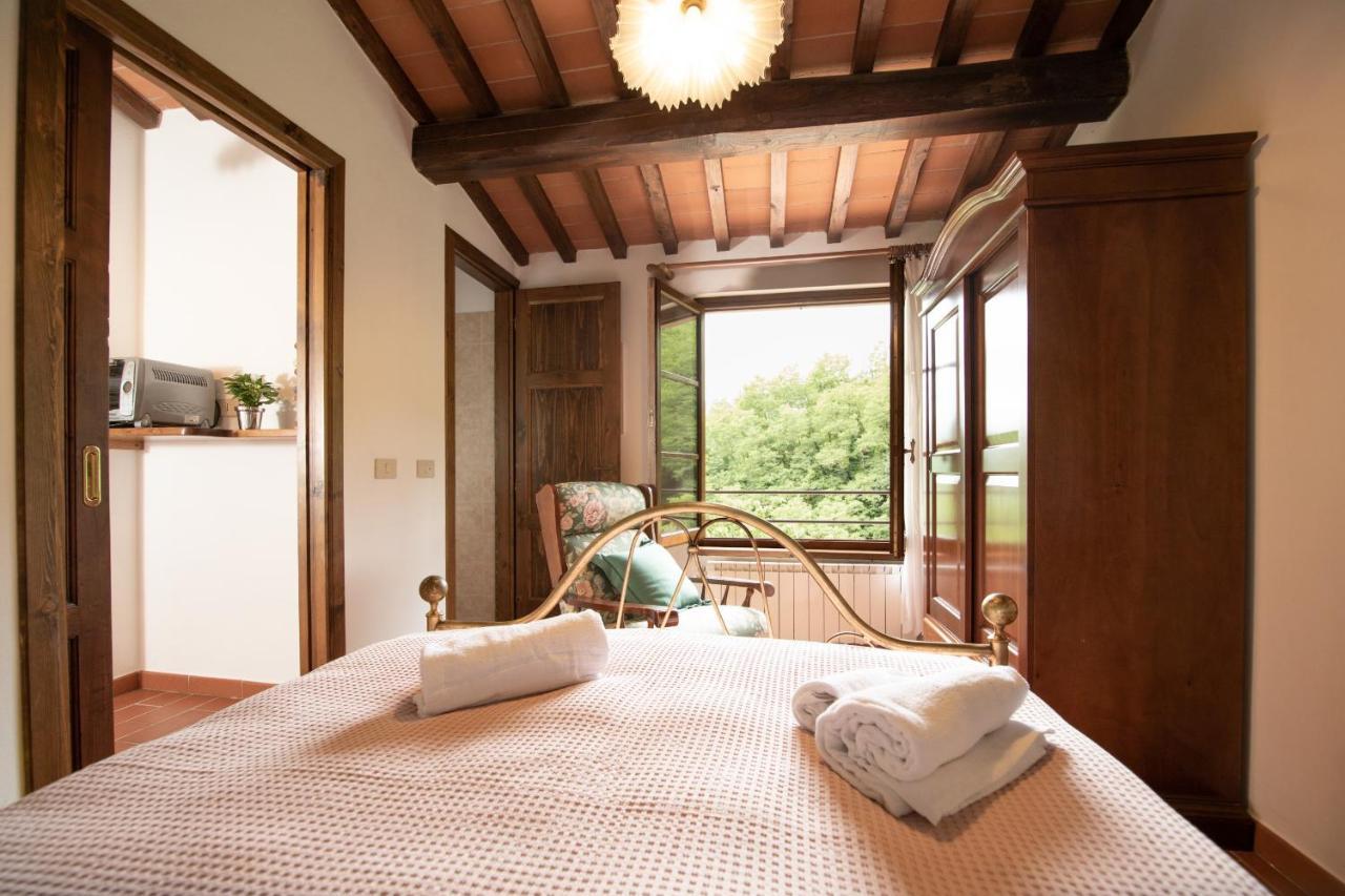 Casetta Di Butia, Ginestra Apartment With Swimming Pool Borgo a Mozzano Exterior photo