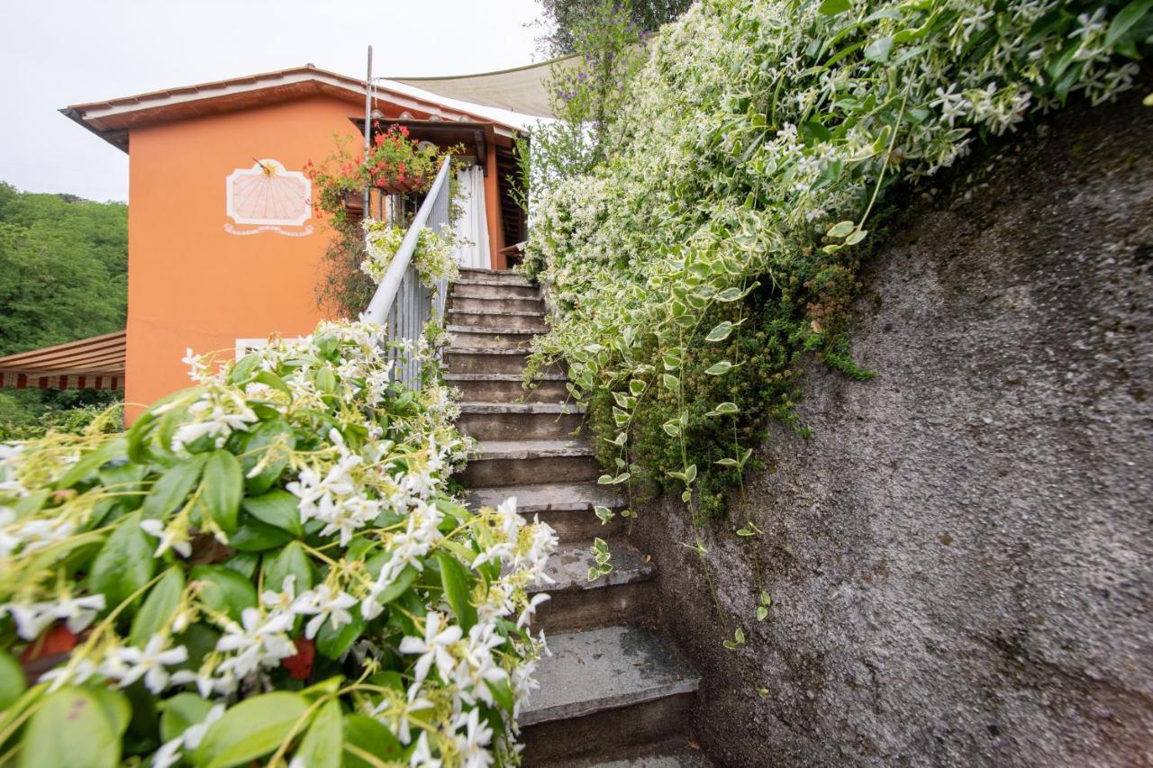Casetta Di Butia, Ginestra Apartment With Swimming Pool Borgo a Mozzano Exterior photo